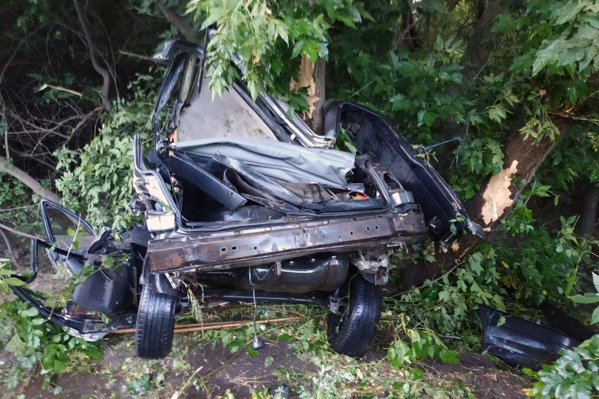 В Кривом Роге авто разбилось о дерево