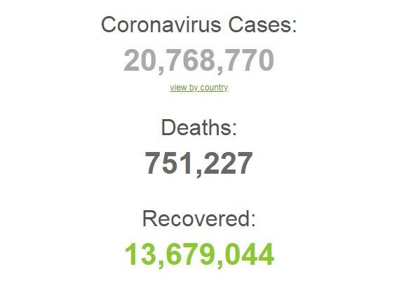 Коронавирусом заразились более 20,7 млн человек в мире.