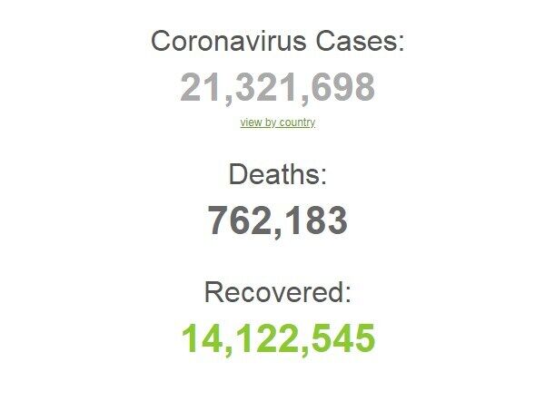 Коронавірусів заразилися понад 21 млн осіб в світі