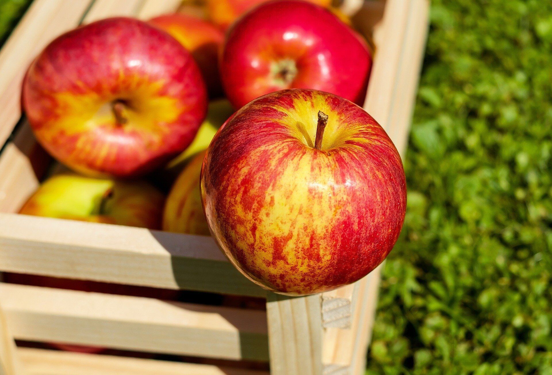 Яблочный Спас: как отмечают праздник