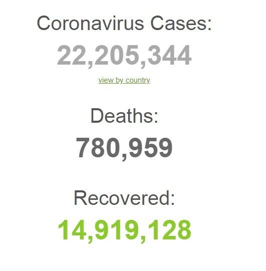 COVID-19 заболели более 22 млн по всему миру: статистика на 18 августа. Обновляется