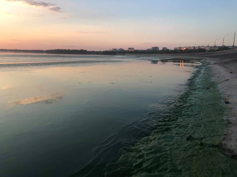 Берег річки покрився зеленою рідиною. Фото очевидців