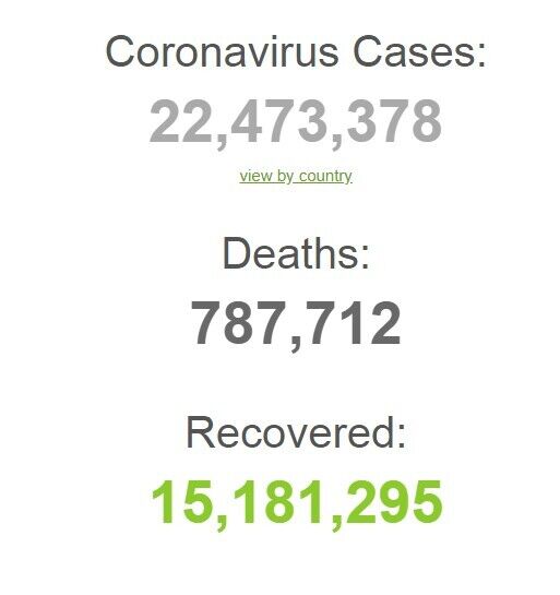 От COVID-19 вылечились более 15 млн человек: статистика на 19 августа. Обновляется