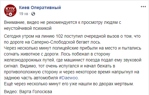 Пост о деталях гибели лося в Киеве