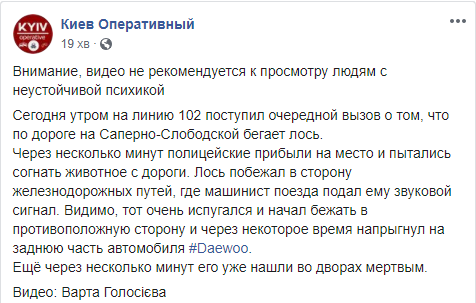 Пост про деталі загибелі лося в Києві