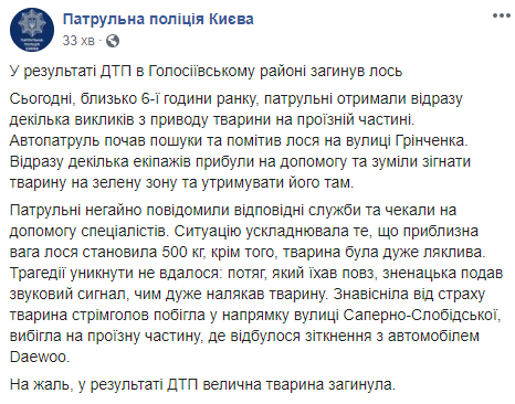 Пост полиции о гибели лося в Киеве