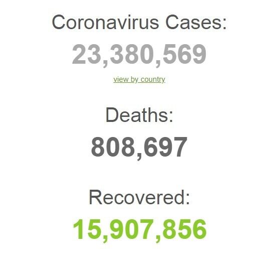 От коронавируса в мире умерло более 800 тыс человек: статистика на 23 августа. Обновляется