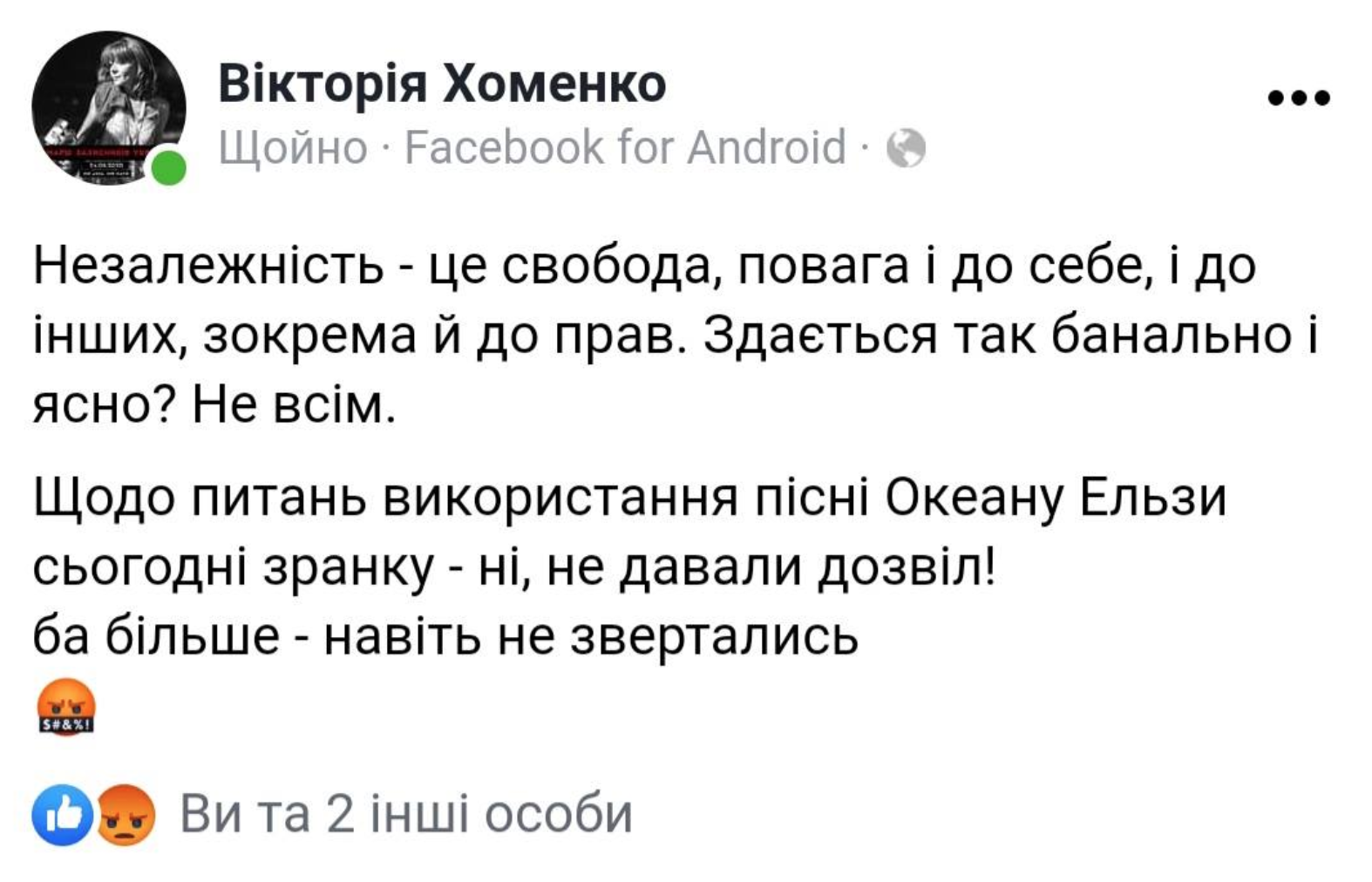 "Бумбокс" і "Океан Ельзи" висунули претензії через шоу на День Незалежності: розгорівся скандал