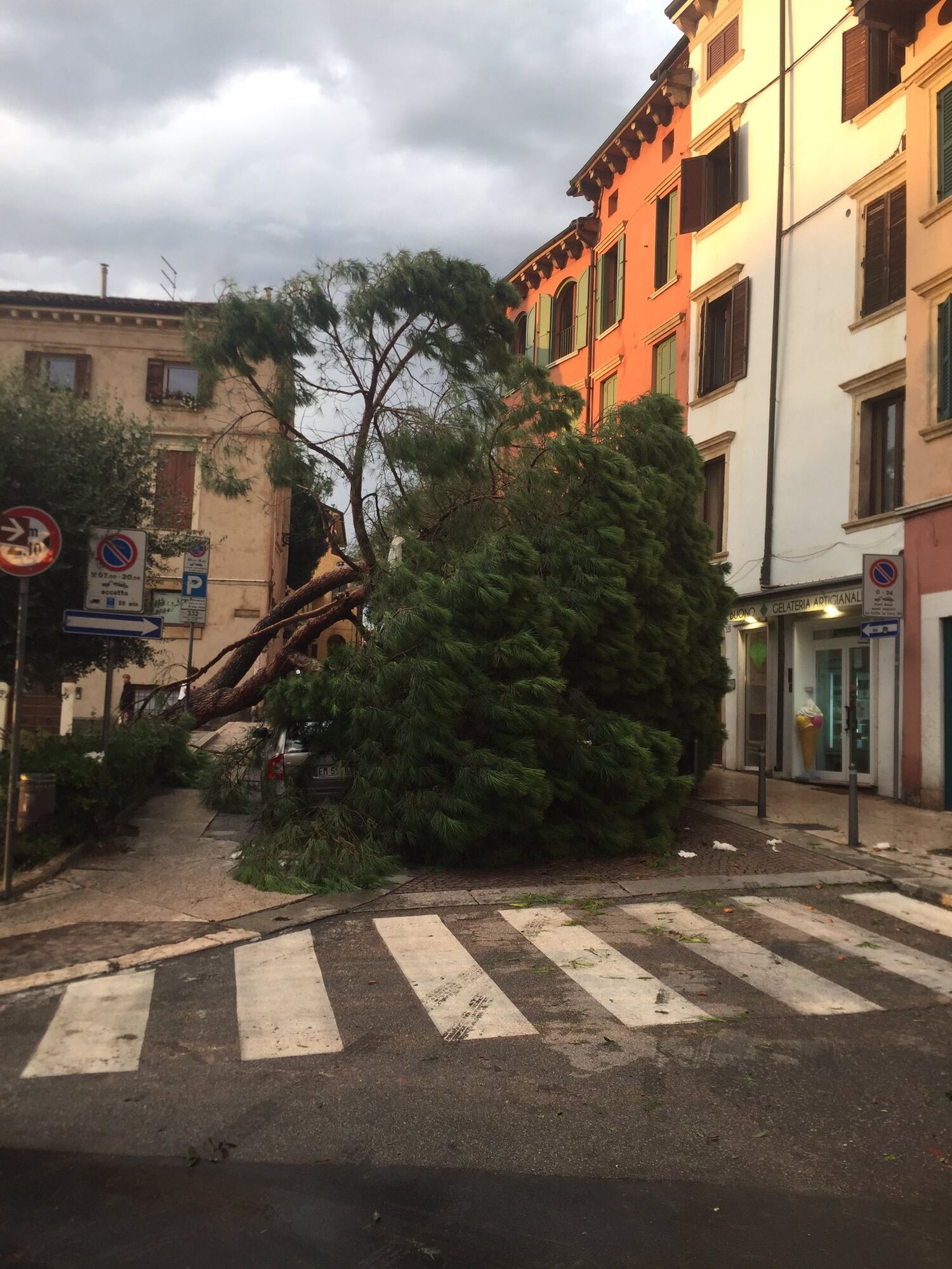 Буревій викорчував дерева у Вероні.