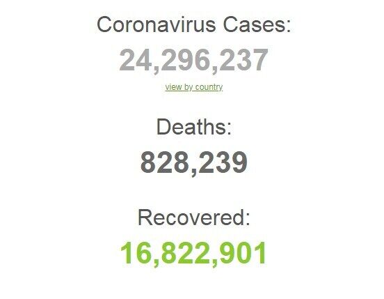 Коронавирусом заразились более 24,2 млн человек в мире