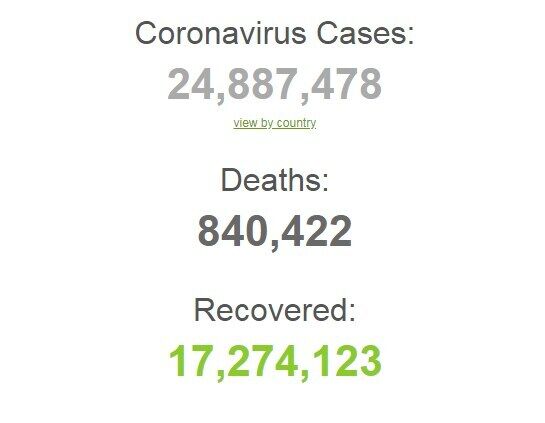 Коронавірусом заразилися понад 24,8 млн осіб в світі.
