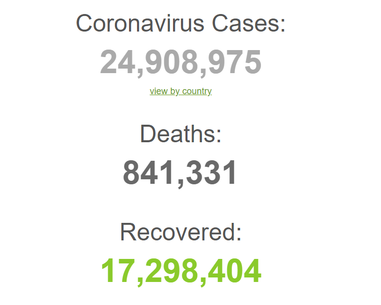 Коронавирусом заразились более 24,8 млн человек в мире.