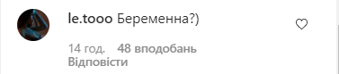 Тодоренко натякнула на другу вагітність