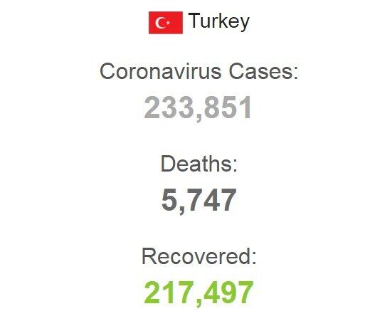 В Турции заразились более 233 тысяч человек/