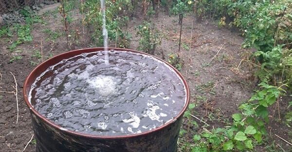 Новости Крымнаша. Не ставьте на нас точку