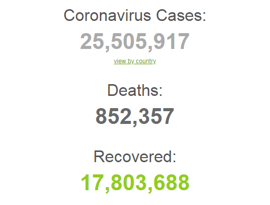 Коронавирусом заразились более 25,5 млн человек в мире.