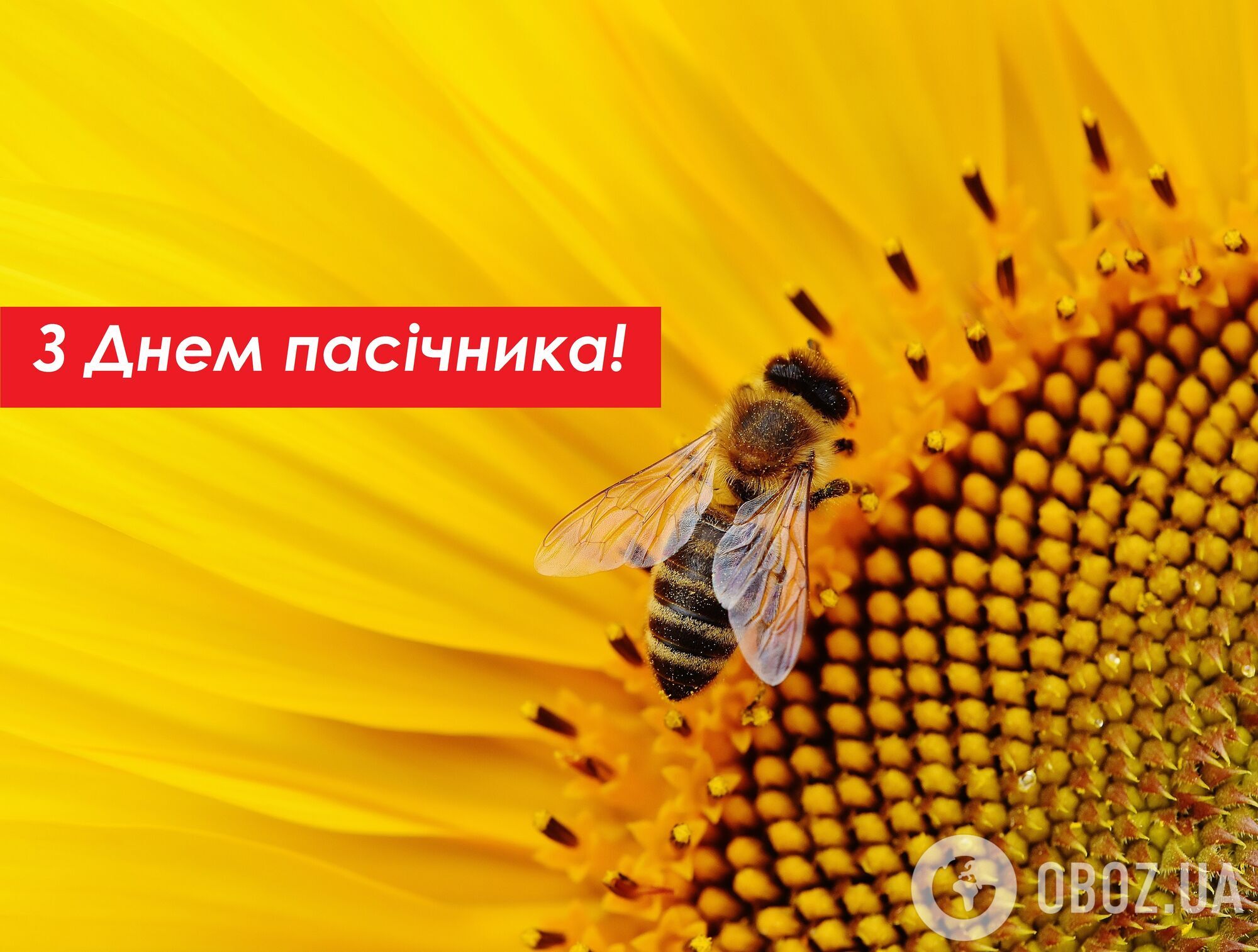 Картинки ко Дню пасечника