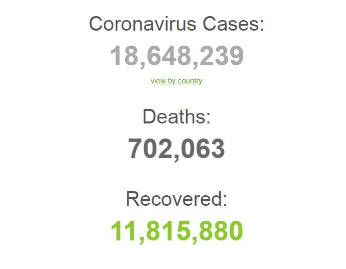 Коронавирусом заразились более 18 млн по всему миру: статистика на 4 августа. Постоянно обновляется