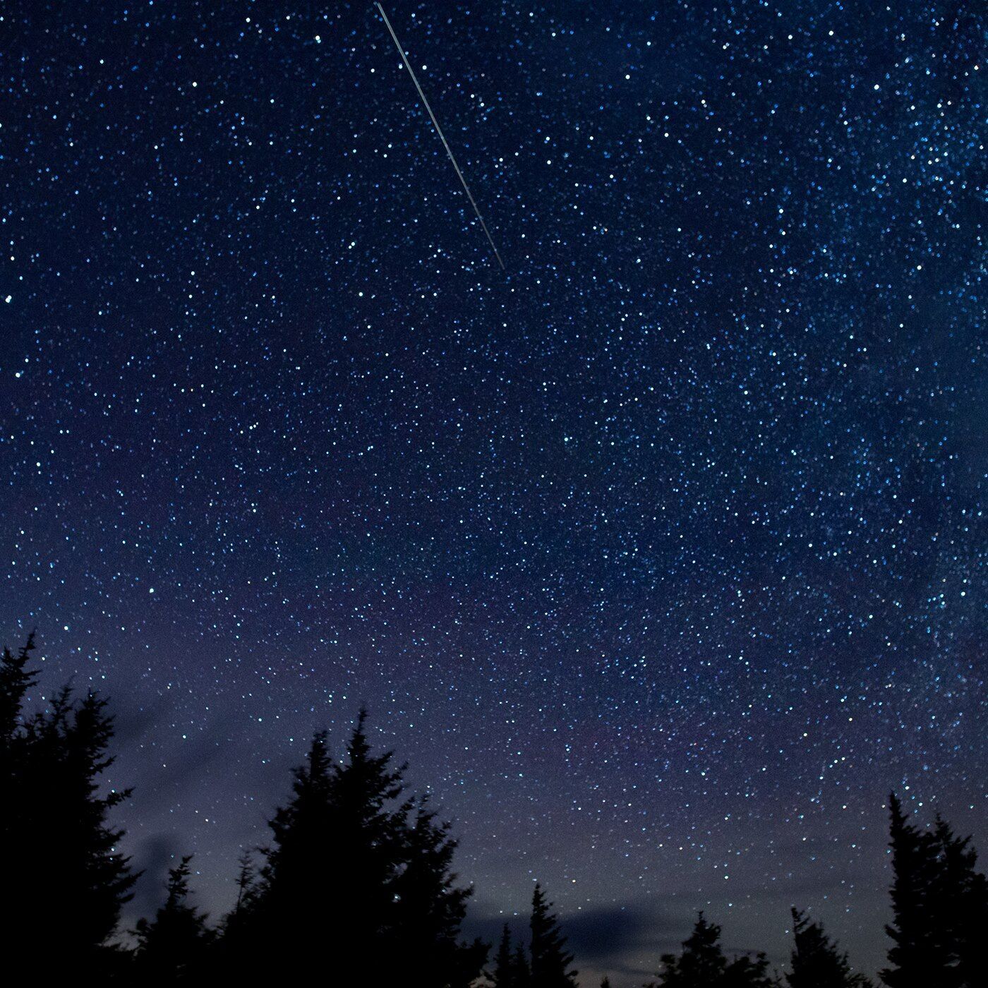 Пик звездопада Персеид в 2020 году можно наблюдать в ночь с 11 на 12 августа
