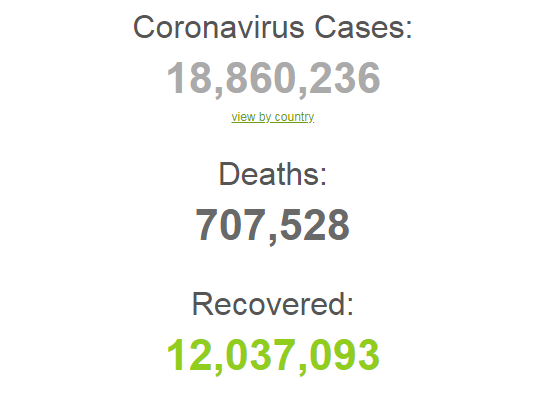 Коронавирусом заразились более 18,8 млн человек в мире