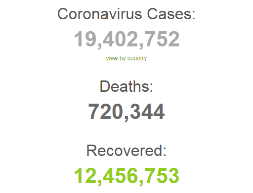 Коронавирусом заразились более 19,4 млн человек в мире