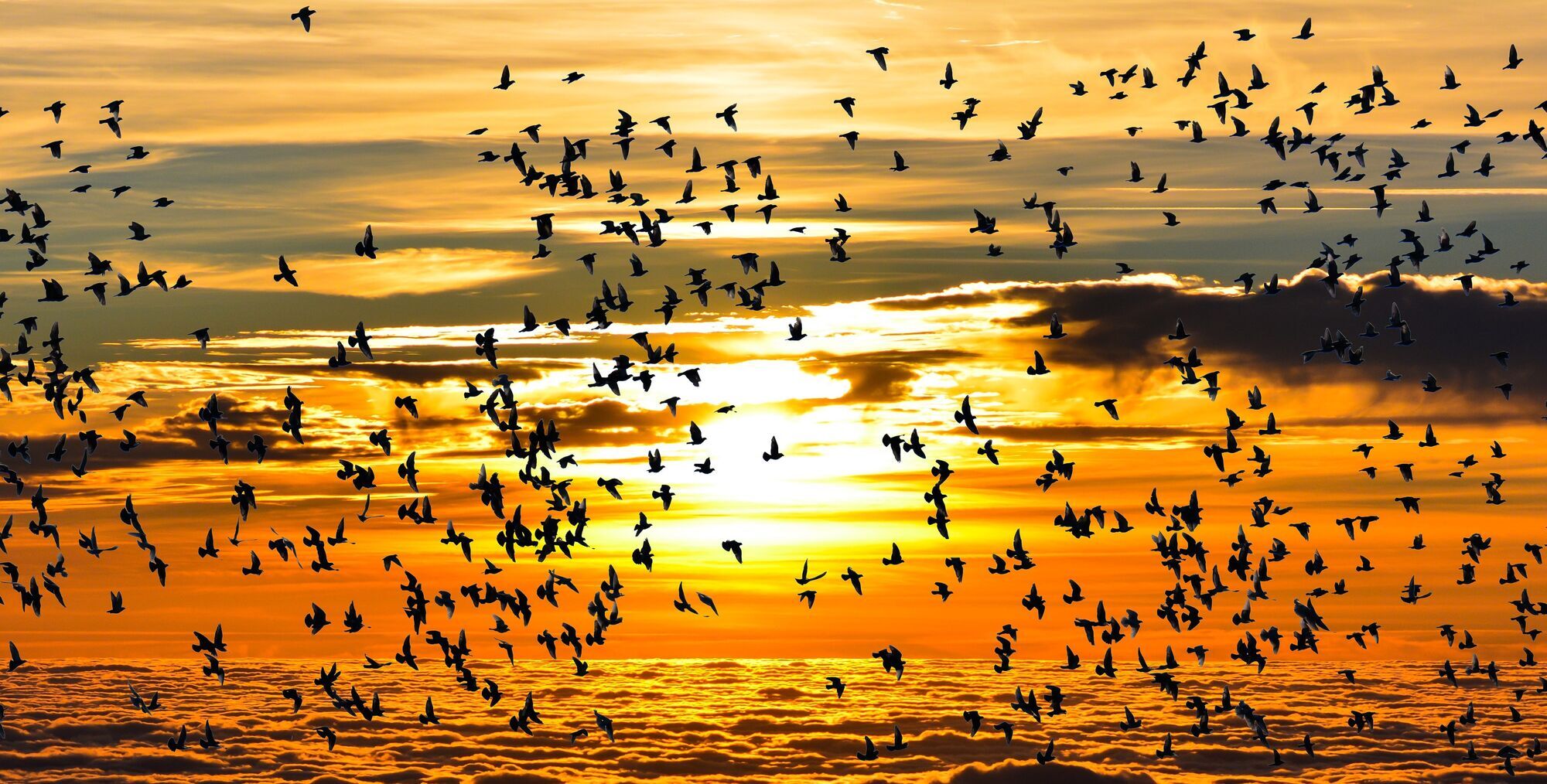 По приметам в Самойлов день судили о будущей погоде.