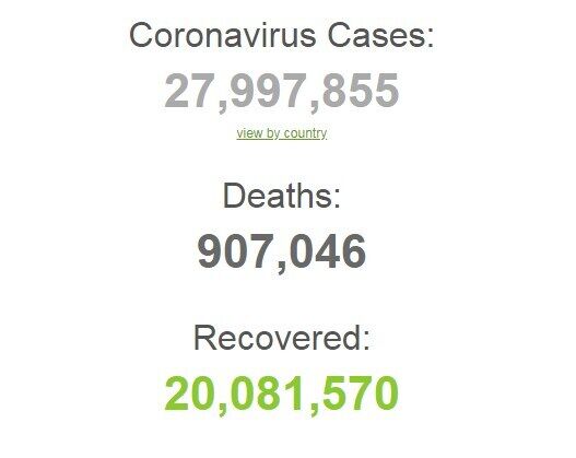 Коронавірусом заразилися понад 27,9 млн осіб в світі.