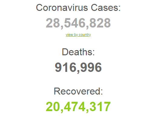 Коронавирусом в мире заразились более 28,5 млн.