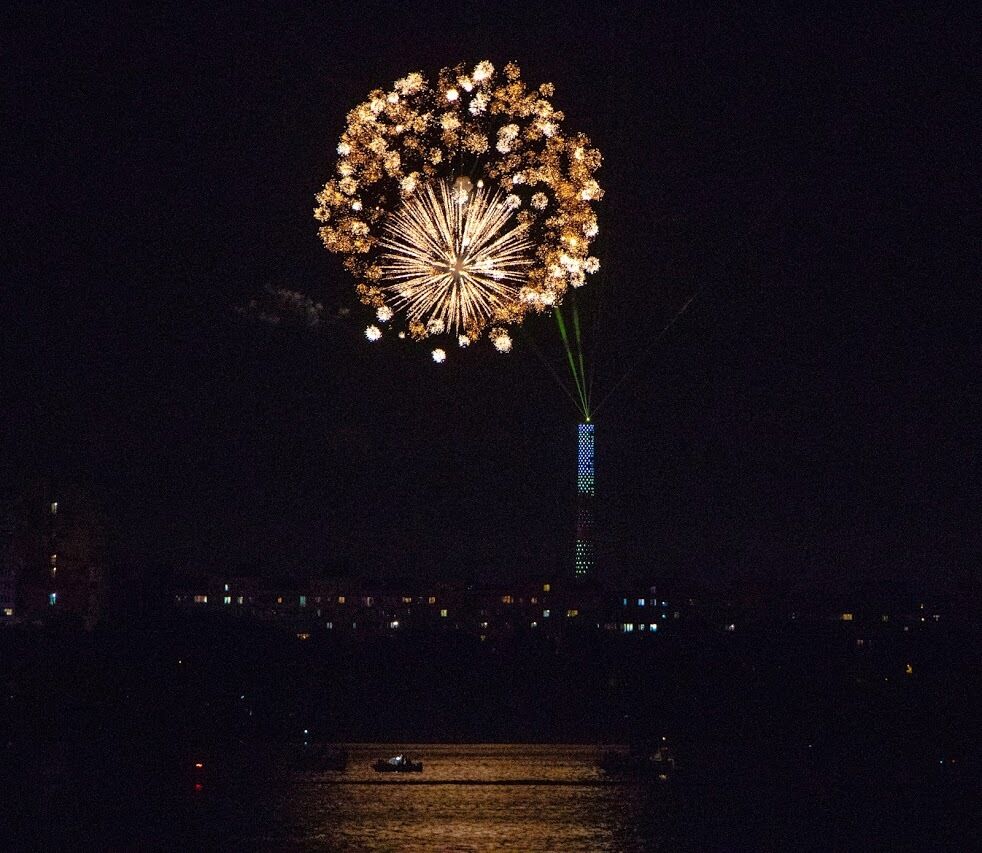 Светло-лазерная артинсталяция Dnipro Light Flowers