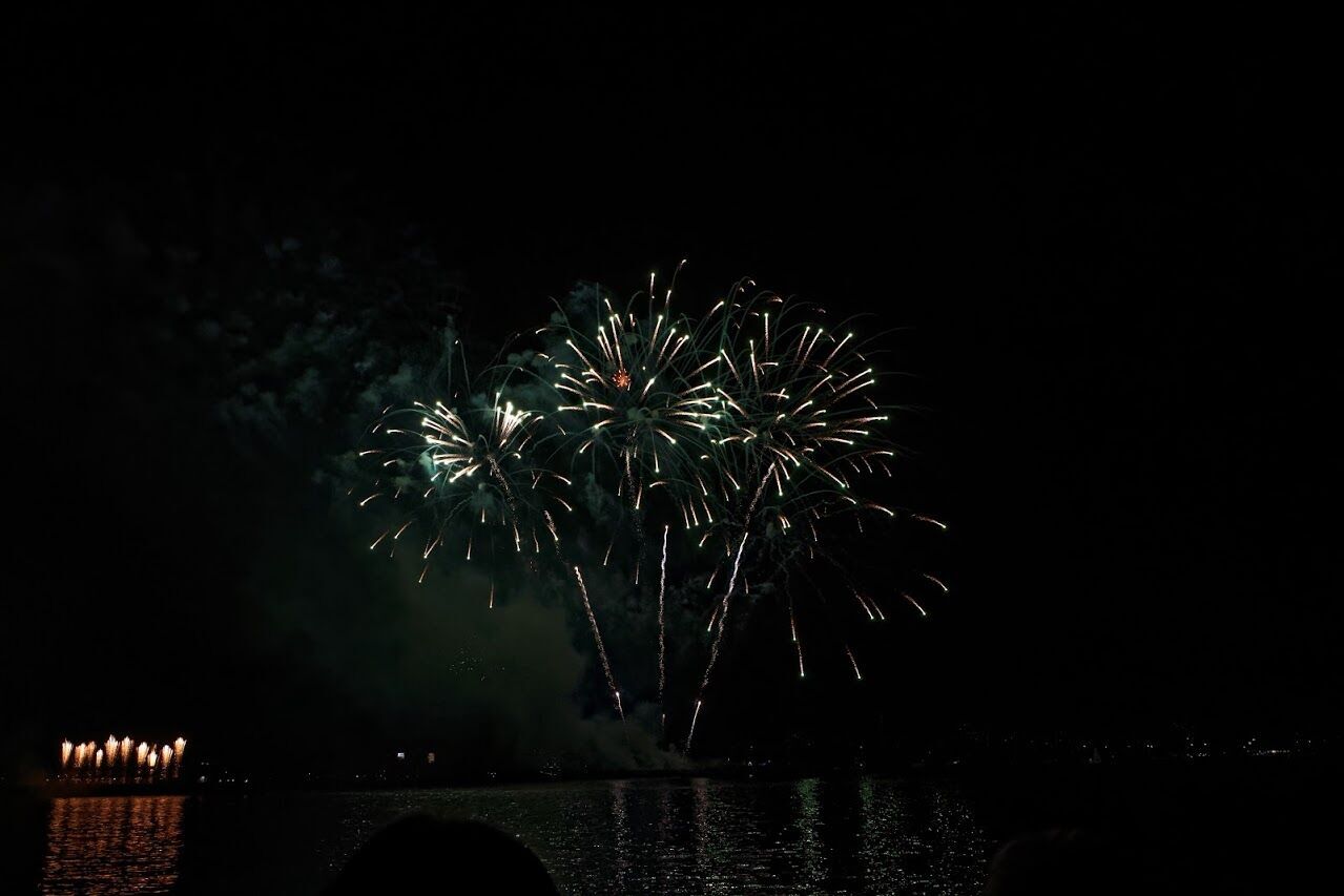 Світло-лазерна артінсталяція Dnipro Light Flowers