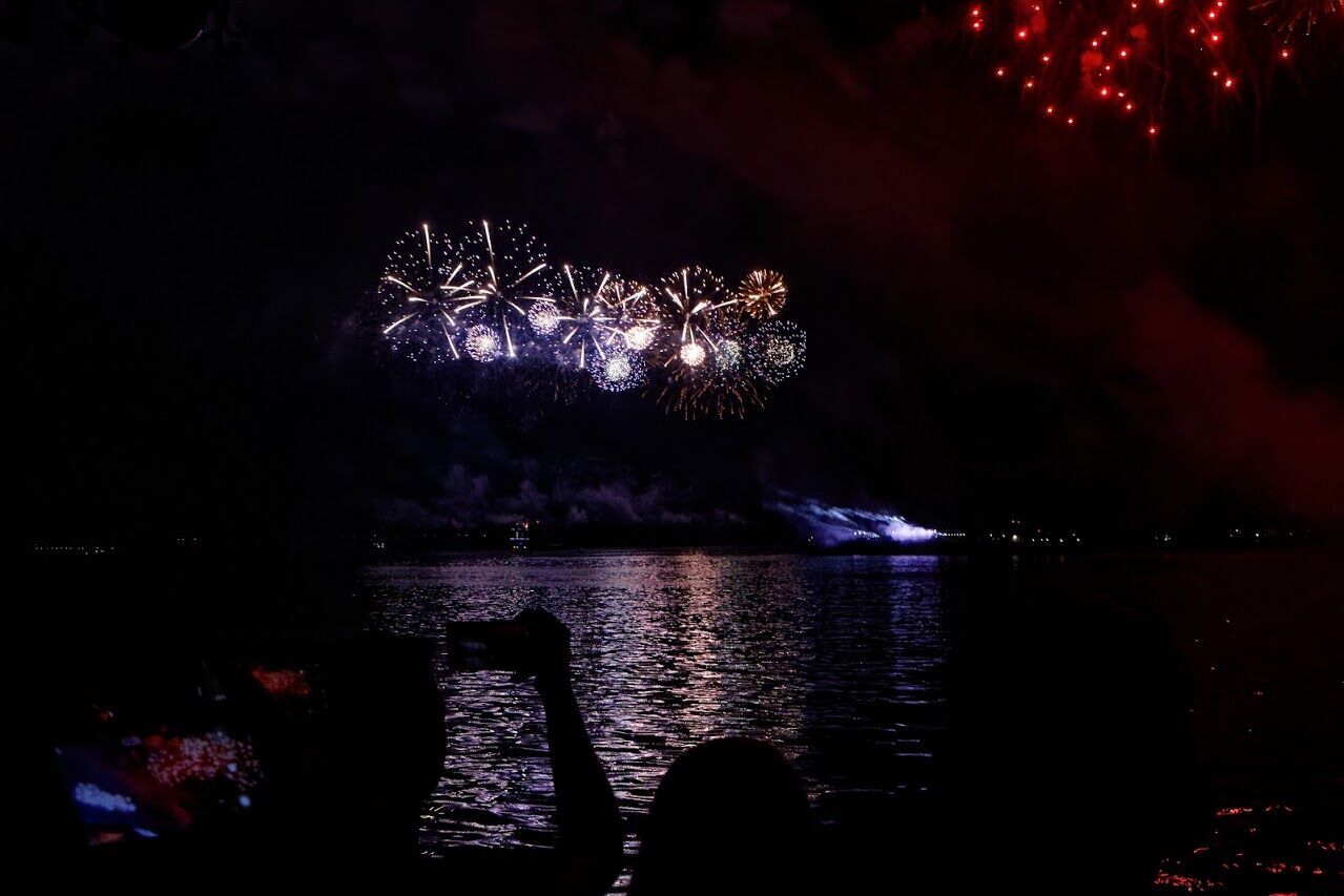 Светло-лазерная артинсталяция Dnipro Light Flowers