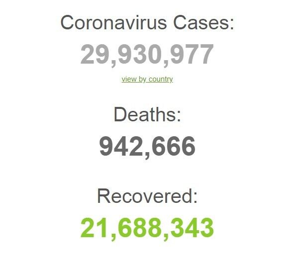 Количество зараженных COVID-19 приблизилось к 30 млн: статистика на 16 сентября. Обновляется