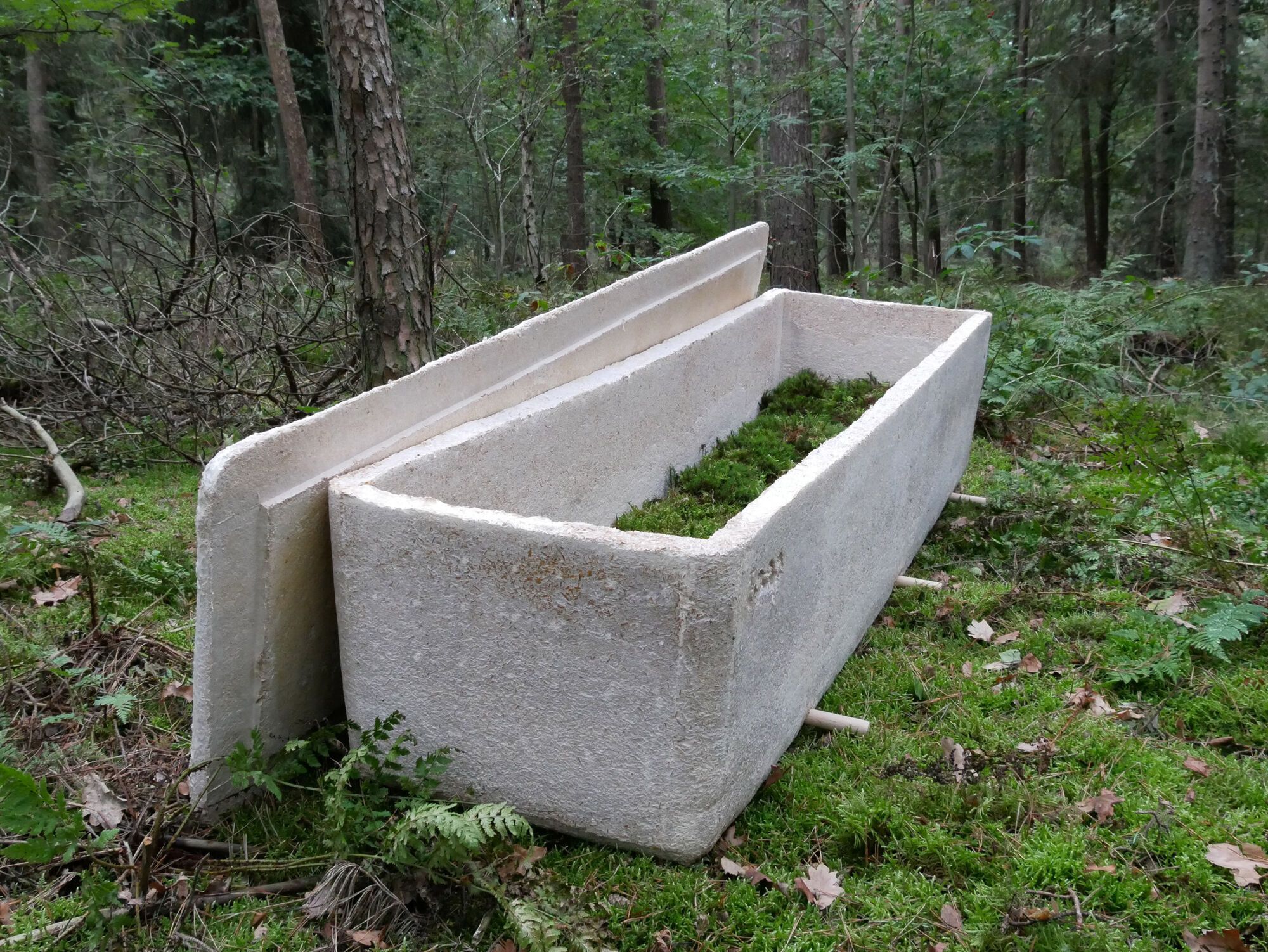 Loop Cocoon вчений вважає екологічним способом поховання
