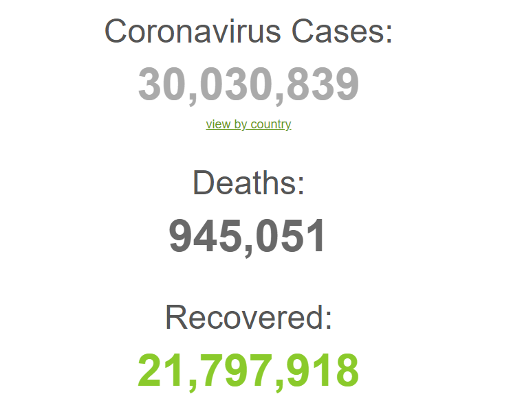 Коронавірусом заразилися понад 30 млн.