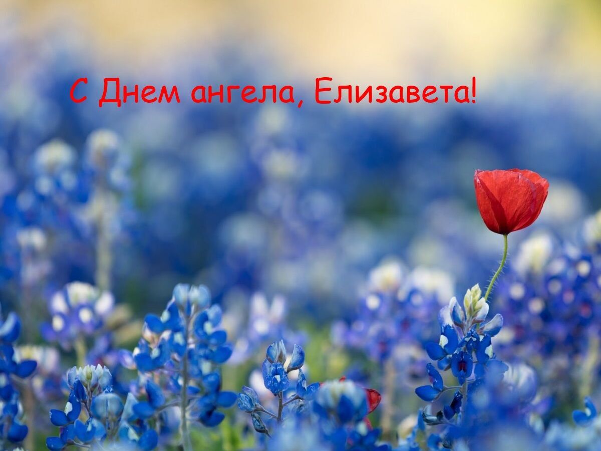 Картинка с Днем ангела Елизаветы