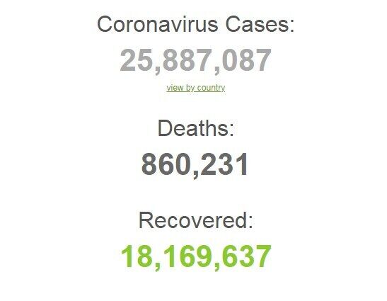 Коронавирусом заразились более 25,8 млн человек в мире.