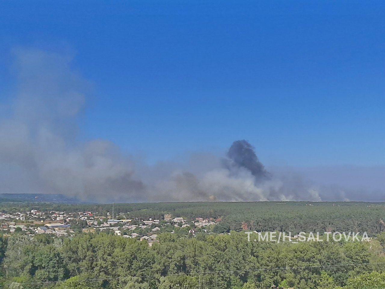 Лісову пожежу на Харківщині видно здалеку.
