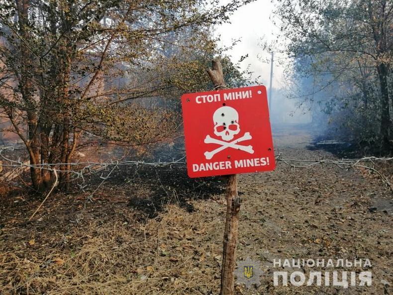 У Луганській області спалахнули лісові пожежі.