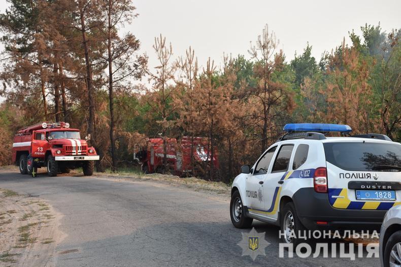 В Луганской области тушат лесные пожары.