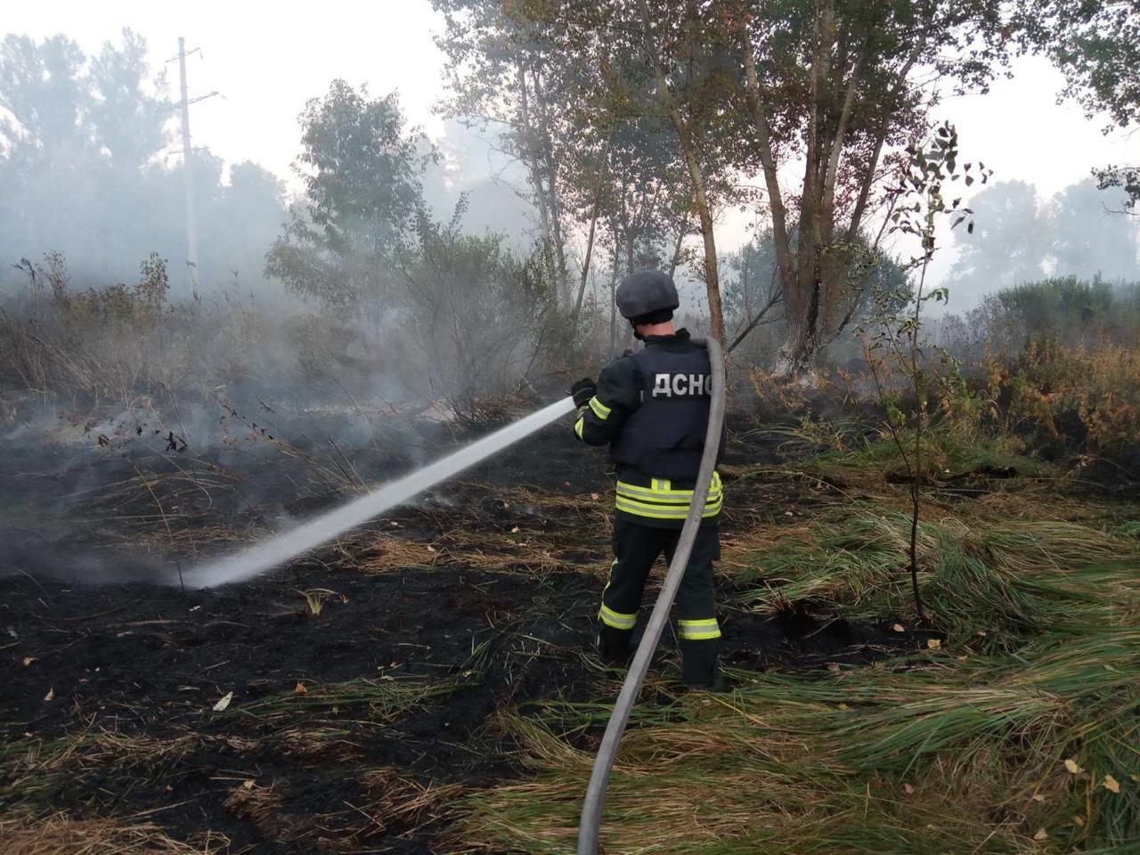 В Луганской области вспыхнул пожар на площади 80 га.