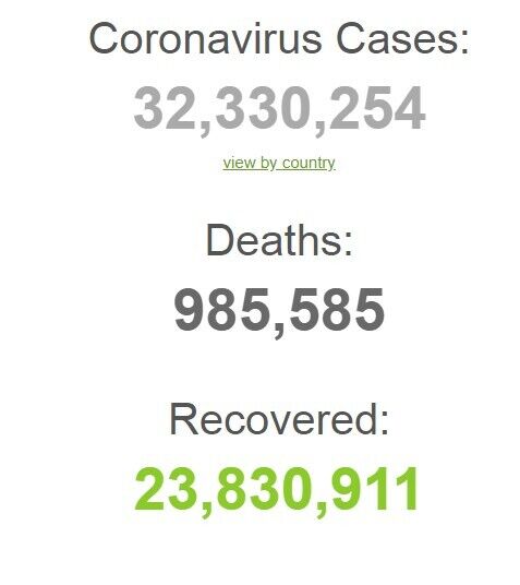 Коронавирусом заразились почти 33 млн по всему миру: статистика на 24 сентября