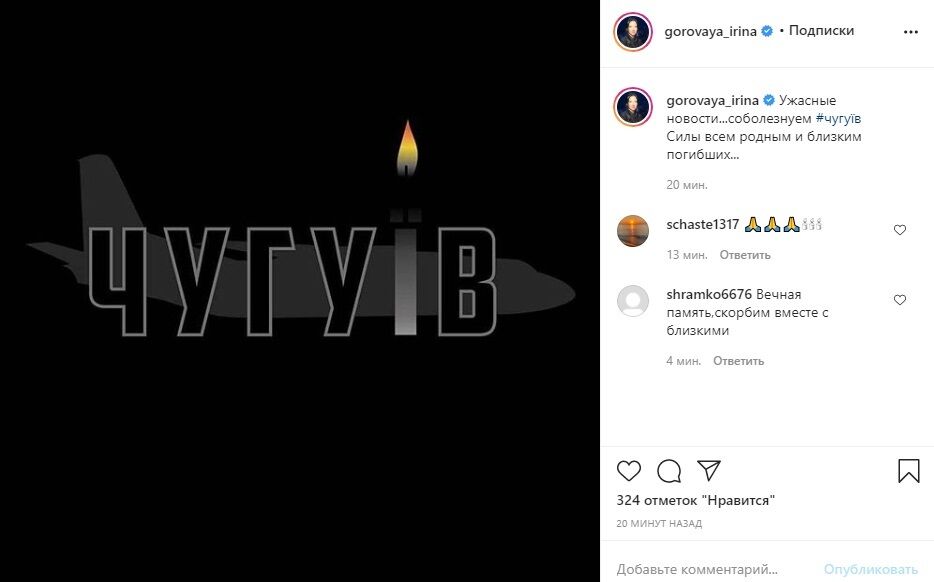 Ирина Горовая опубликовала пост соболезнование из-за авиакатастрофы под Харьковом.