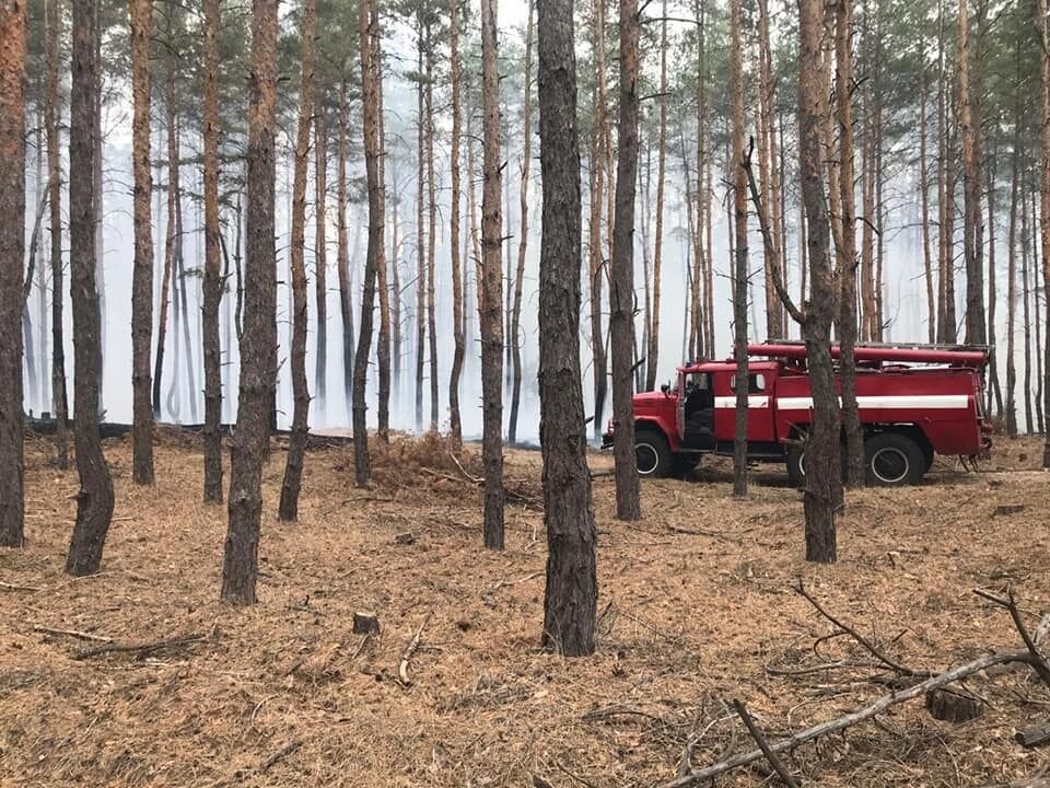 Огонь распространился на площади 5,5 га.