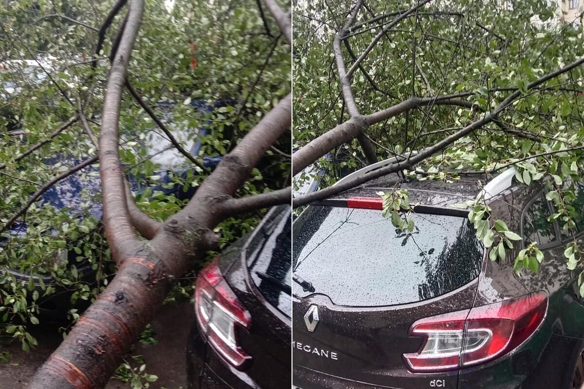 На Ивано-Франковщине деревья повредили автомобили.
