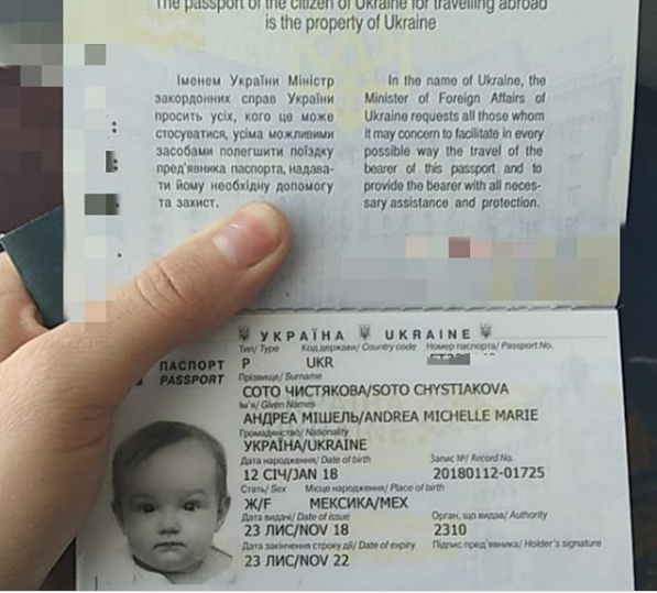 Суды игнорируют факт, что Мишель – гражданка Украины.