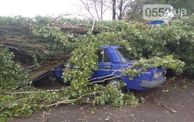 Поваленное дерево упало на автомобиль.