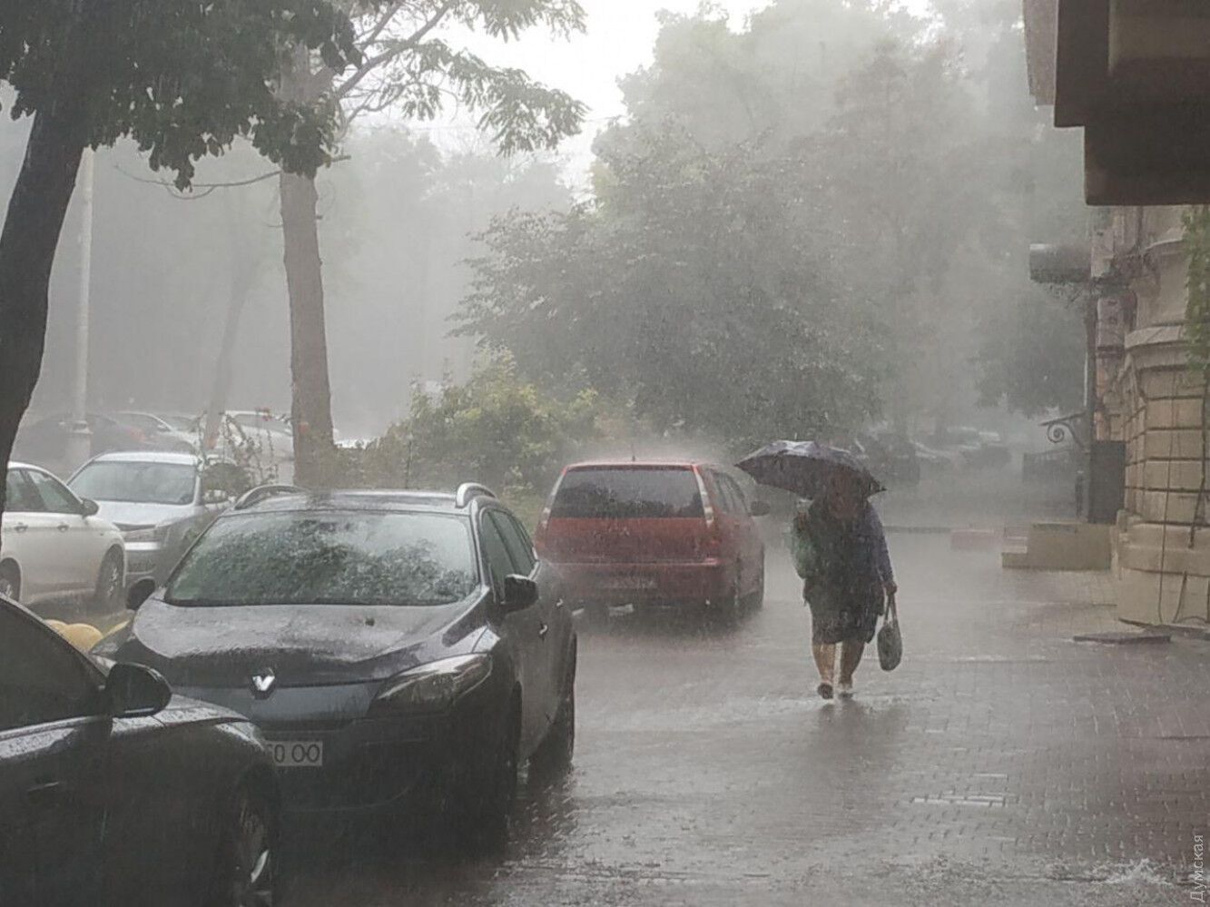 В Одессе сильный ливень с грозой устроил "деревопад". Фото, видео