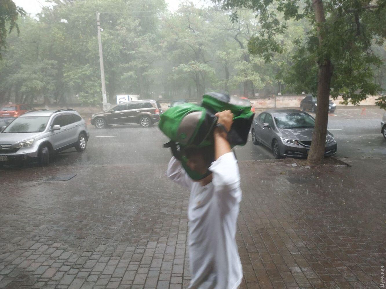 В Одессе сильный ливень с грозой устроил "деревопад". Фото, видео