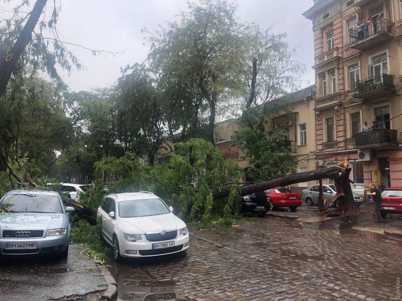 В Одессе сильный ливень с грозой устроил "деревопад". Фото, видео
