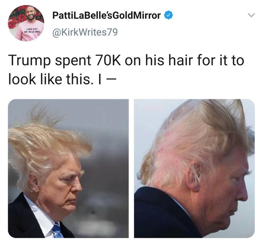"Трамп потратил $70 000, чтобы его волосы выглядели вот так. Я просто...".